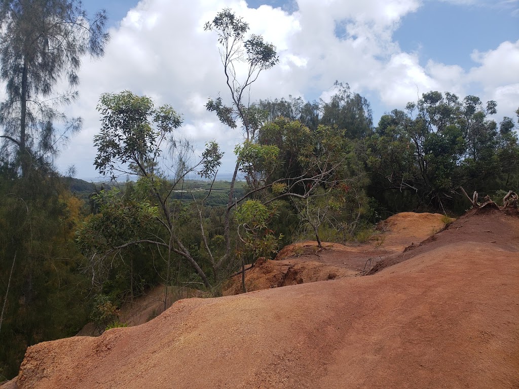 Lāʻie Falls Trail | 55-261 Poohaili St, Laie, HI 96762, USA | Phone: (808) 293-9201