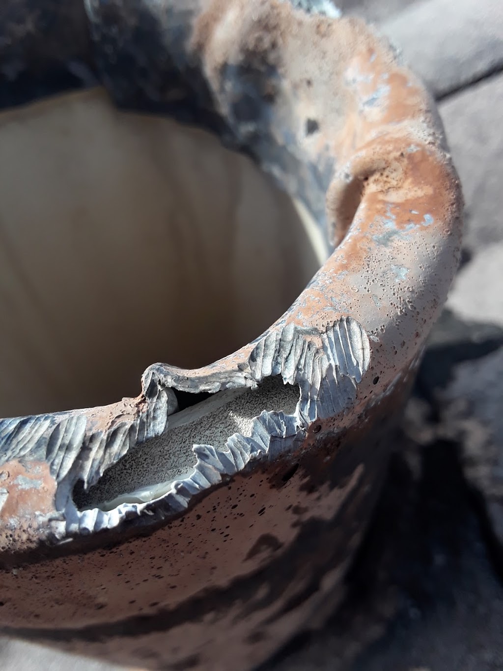 All American Pest Services | 6508 13th Ave E, Bradenton, FL 34208, USA | Phone: (941) 202-9270