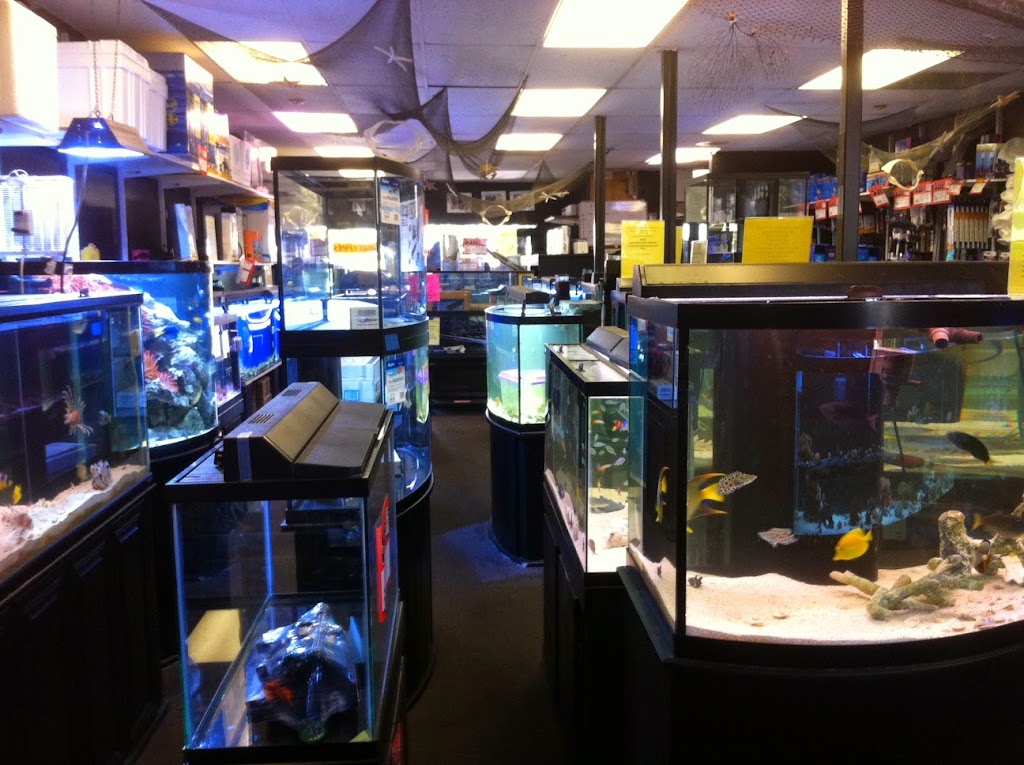 Aquatic Pets and Reptiles | 95 W Shaw Ave #103, Clovis, CA 93612, USA | Phone: (559) 298-4549