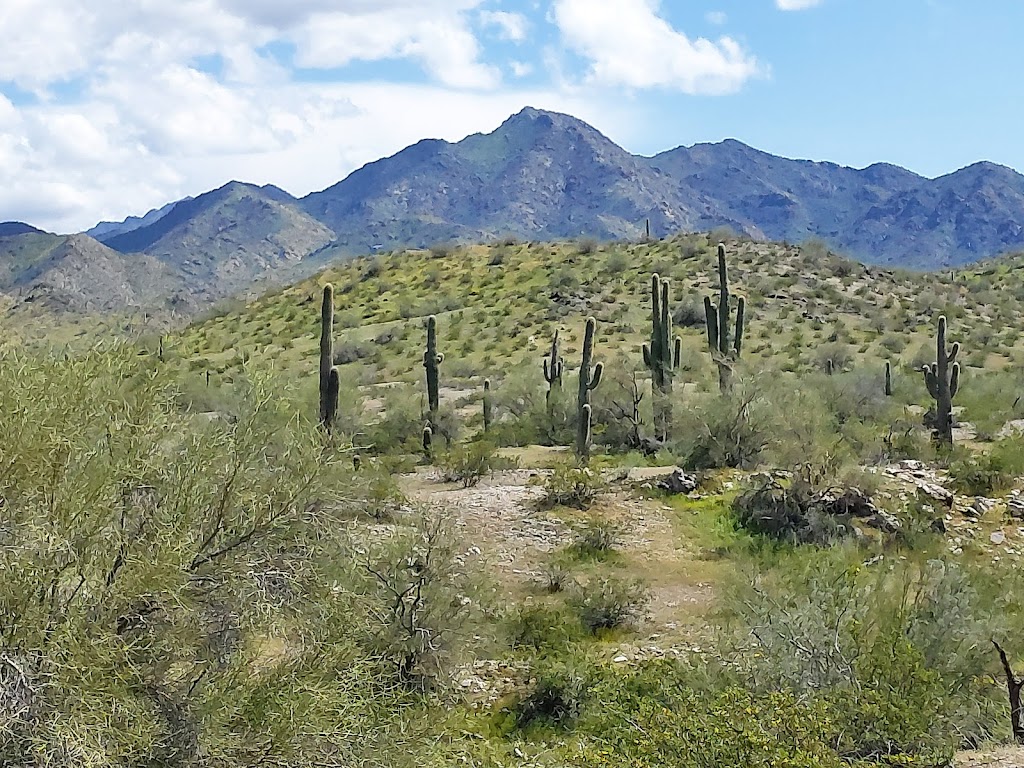 Estrella Mountain Regional Park | 14805 W Vineyard Ave, Goodyear, AZ 85338, USA | Phone: (602) 506-2930