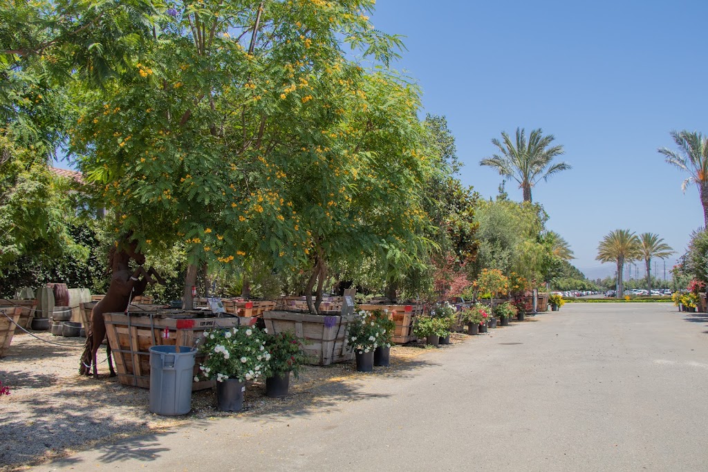 Moon Valley Nurseries | 17715 Amie Ave, Torrance, CA 90504, USA | Phone: (310) 747-3899