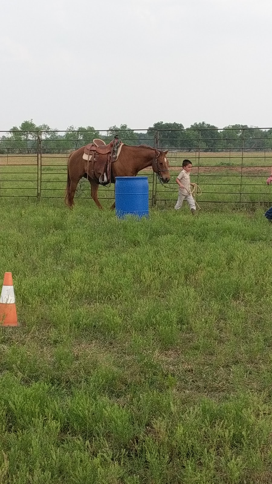 Horse Feathers Bed, Breakfast & Barn | 8019 TX-97, Pleasanton, TX 78064, USA | Phone: (210) 573-2130