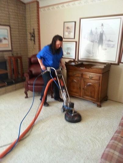 Blue Diamond Carpet and Upholstery Cleaning | 12424 Conservation Trail, Shelby Township, MI 48315 | Phone: (586) 745-0143