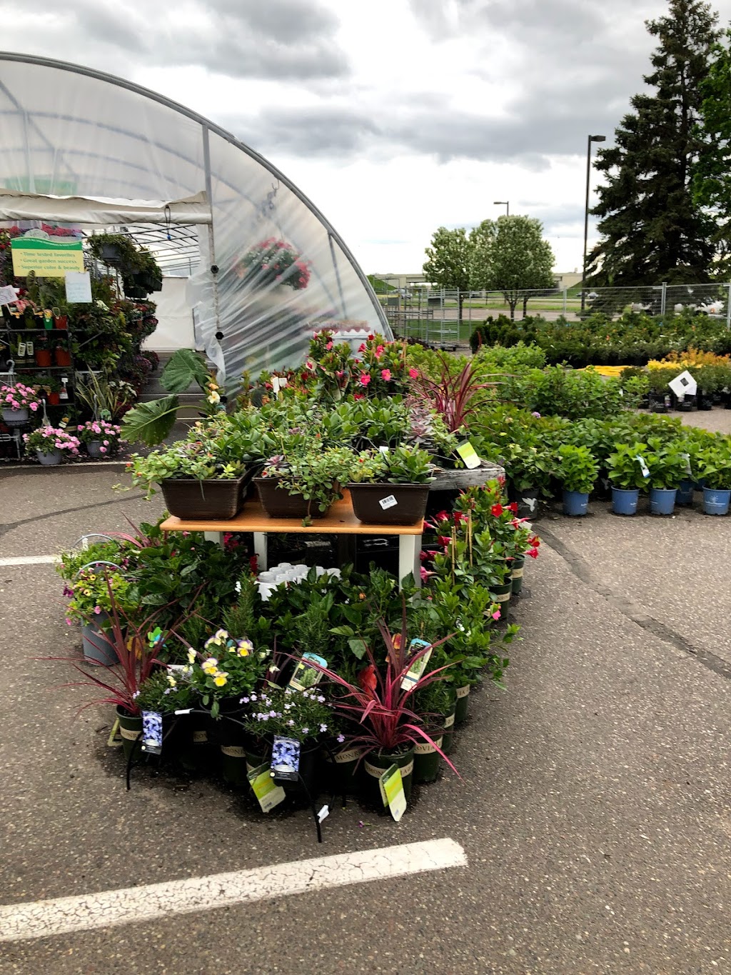 Plant Place Garden Center | 12900 Riverdale Dr NW, Coon Rapids, MN 55448, USA | Phone: (612) 930-8875