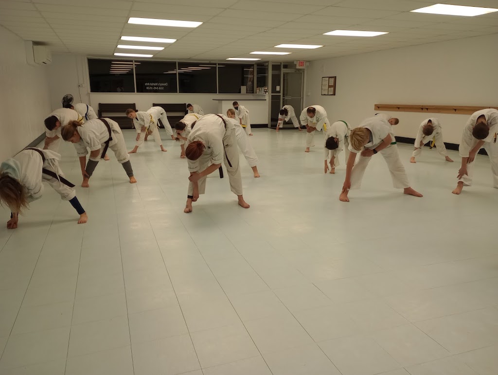 Deweys Martial Arts of Rensselaer County | 179 Columbia Turnpike, Rensselaer, NY 12144 | Phone: (518) 545-1528