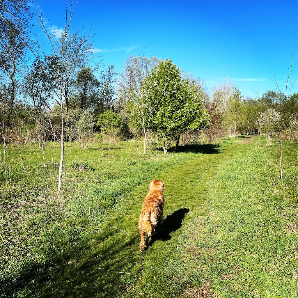 Paw Run Private Dog Park | 6886 Zeeb Rd, Dexter, MI 48130, USA | Phone: (734) 476-1620