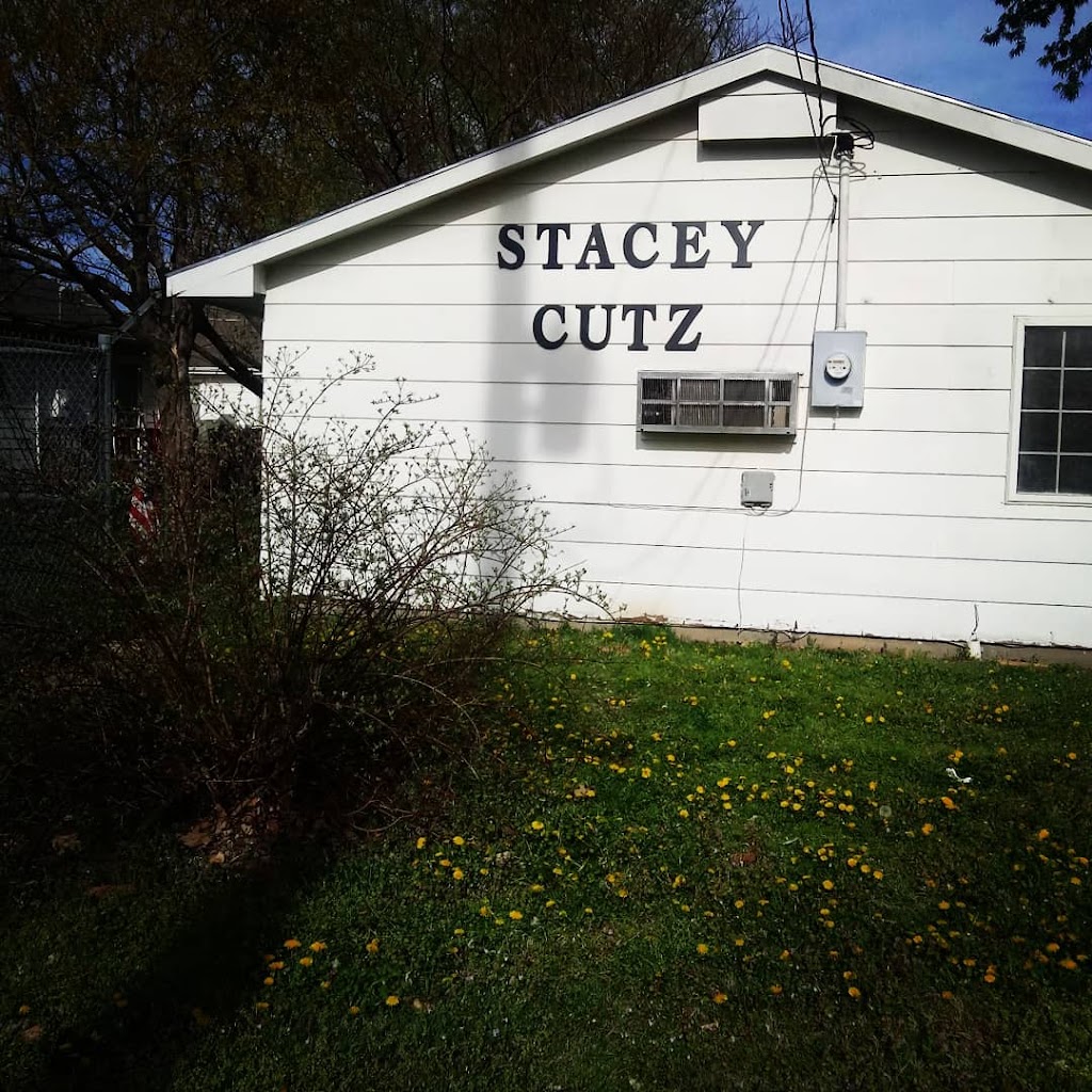 Stacey CutZ | 705 1/2 Main St, Towanda, KS 67144, USA | Phone: (913) 296-0601