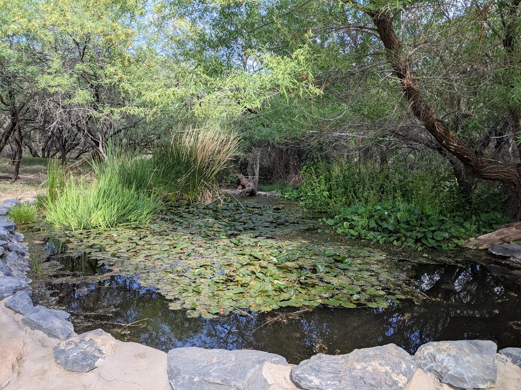 Spur Cross Ranch Conservation | 44000 N Spur Cross Rd, Cave Creek, AZ 85331 | Phone: (602) 506-2930