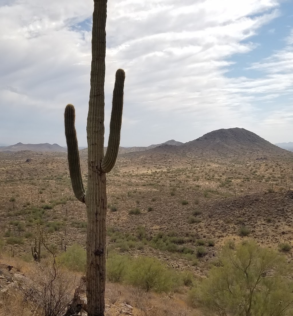 Desert Vista Trailhead | 1901 W Desert Vista Trail, Phoenix, AZ 85085, USA | Phone: (602) 495-6939