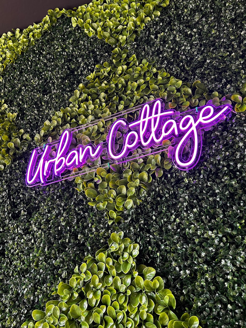Urban Cottage | 48 Center St, Seville, OH 44273, USA | Phone: (440) 382-2990