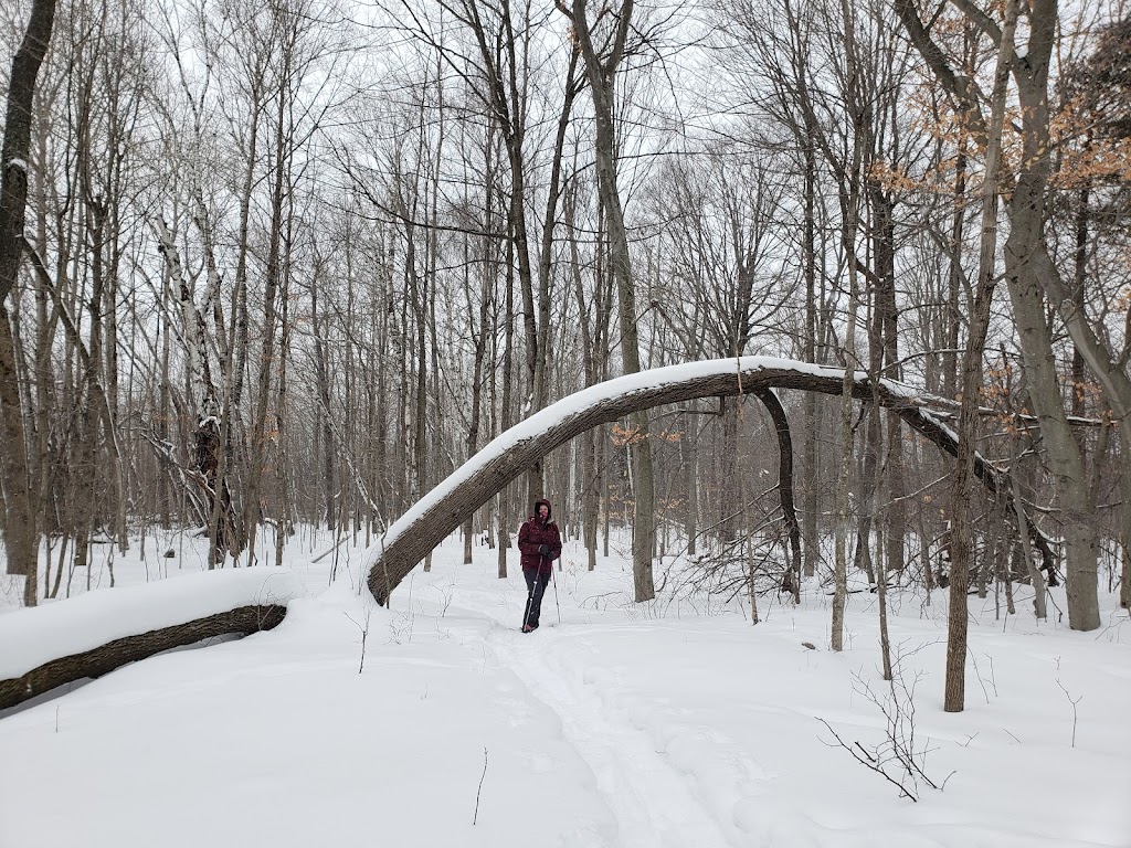 Cedarburg Bog State Natural Area | WI-33, Saukville, WI 53080, USA | Phone: (262) 675-6844