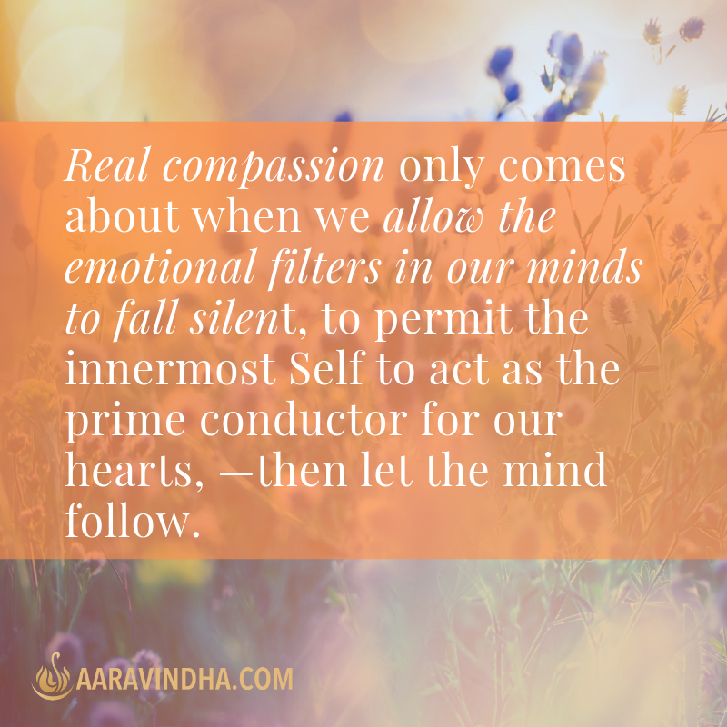 Path of Compassion | 12125 194th Ave NE, Redmond, WA 98053, USA | Phone: (206) 880-1420