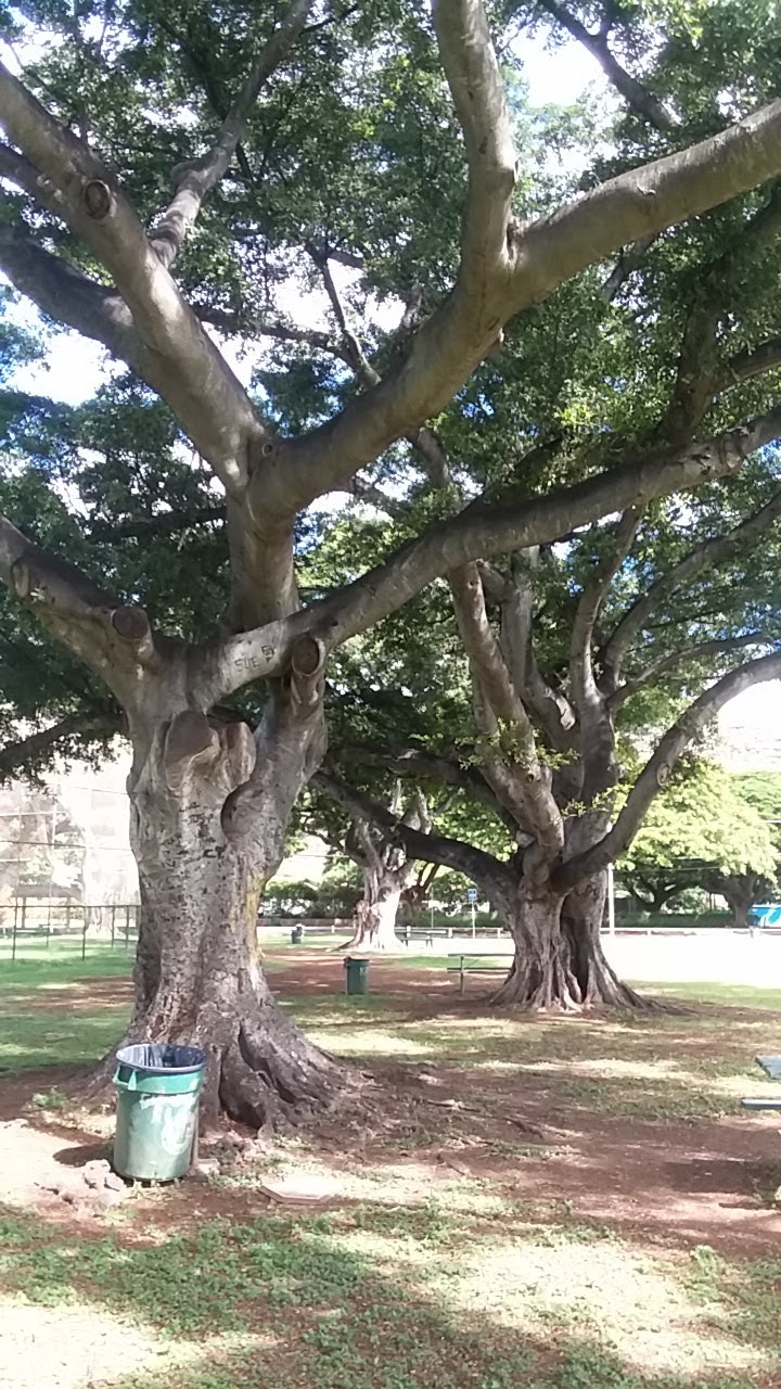 Herbert K. Pililāʻau Community Park | Waianae, HI 96792, USA | Phone: (808) 696-4442