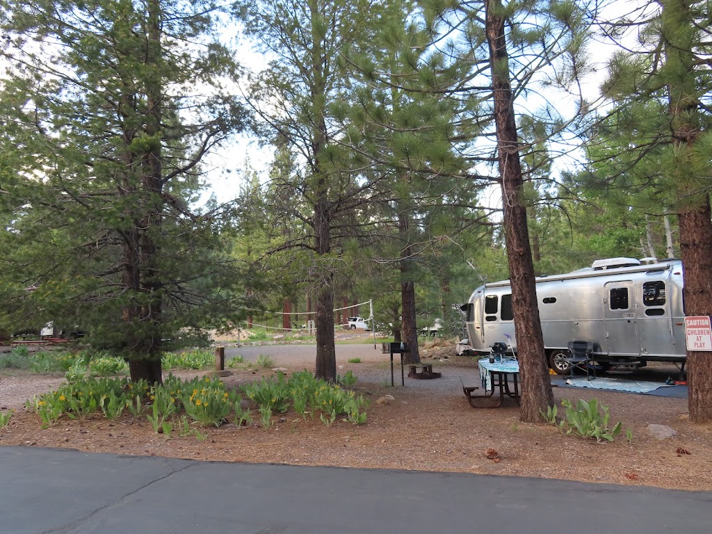 Tahoe Donner Campground | 13813 Alder Creek Rd, Truckee, CA 96161, USA | Phone: (530) 587-9462