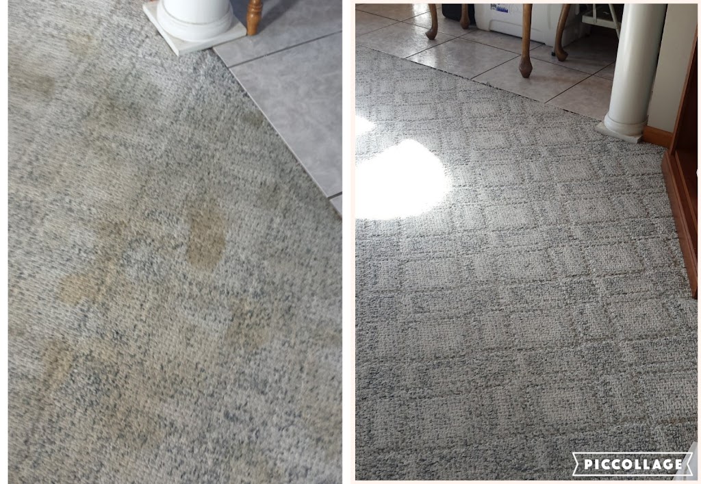 Doubletime Carpet Maintenance | 908 Paradise Ln, Smithville, MO 64089, USA | Phone: (816) 532-3575