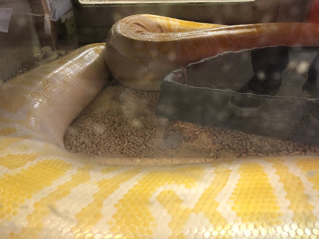 La Habra Exotic Pets | 1919 W La Habra Blvd, La Habra, CA 90631, USA | Phone: (562) 697-7110