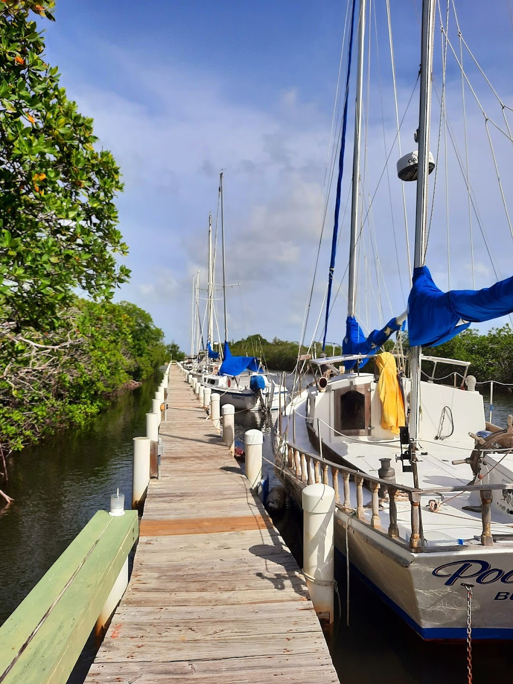 South Miami-Dade Marina and Eco Adventures | 54400 S Dixie Hwy, Homestead, FL 33030, USA | Phone: (305) 247-8730
