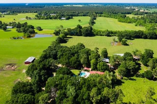 Little Creek Hay & Cattle Farm | 26403 Polo Rd, Folsom, LA 70437, USA | Phone: (985) 373-1942