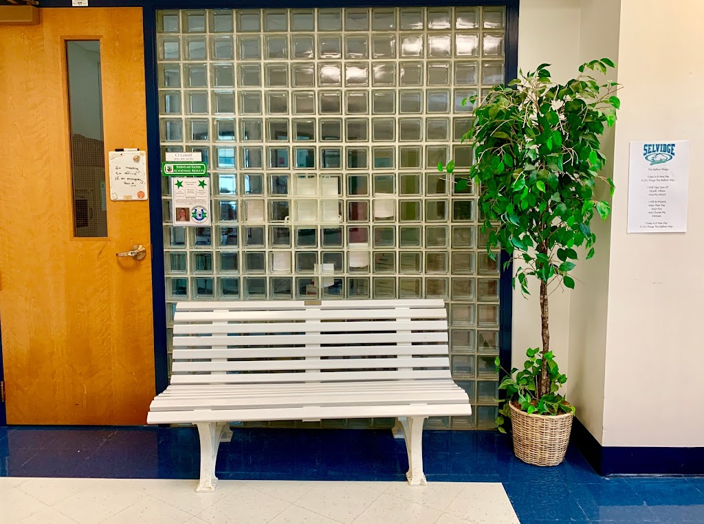 Selvidge Middle School | 235 New Ballwin Rd, Ballwin, MO 63021, USA | Phone: (636) 891-6100