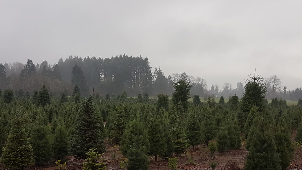 The Tree Wisemans | 26500 NE 53rd Ave, Ridgefield, WA 98642, USA | Phone: (360) 887-4582