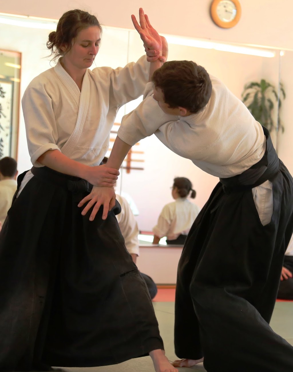 Aikido Institute Davis | 638 Cantrill Dr B, Davis, CA 95618, USA | Phone: (530) 564-7687