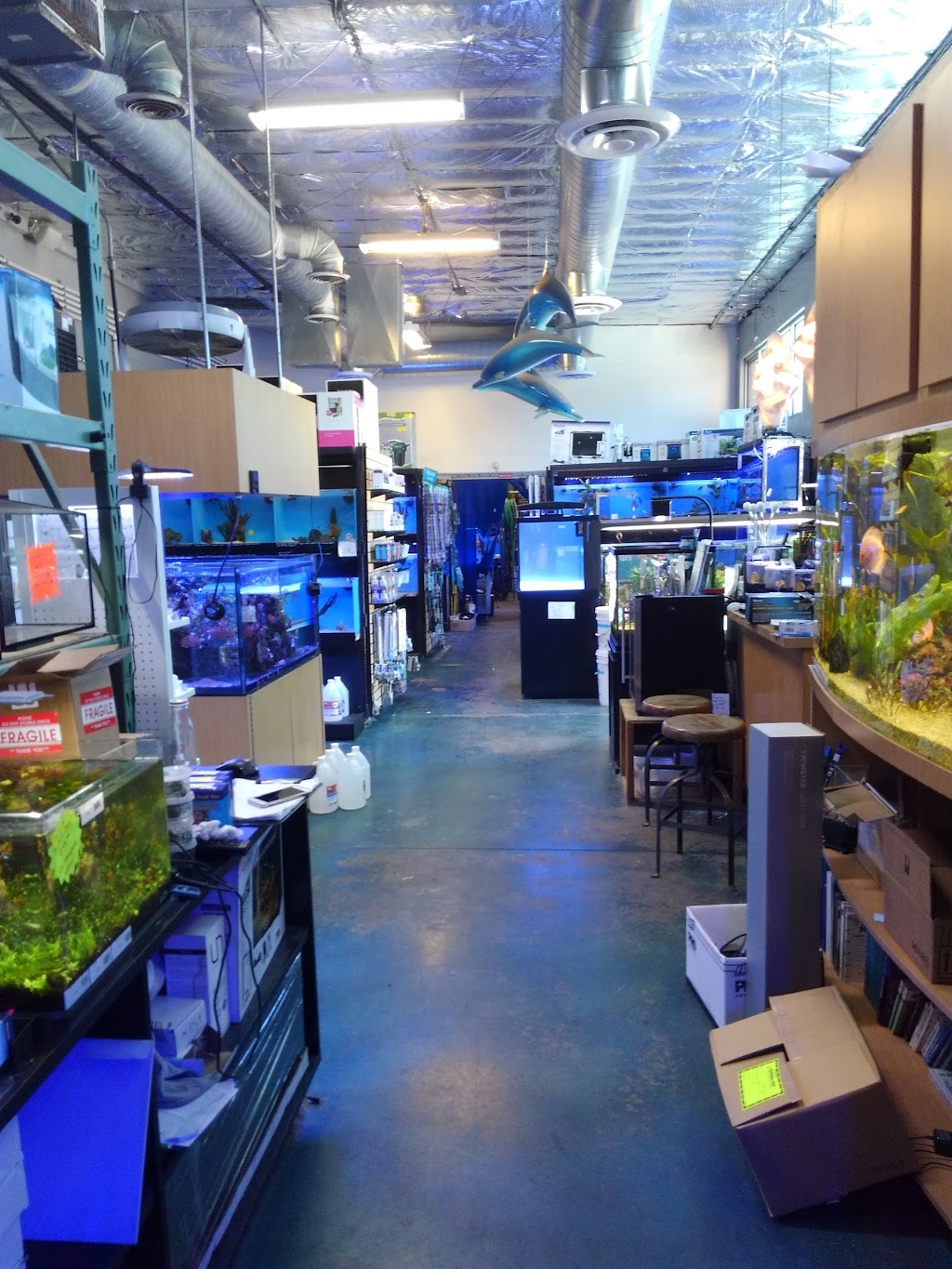 Age of Aquariums | 2642 Cherry Ave, Signal Hill, CA 90755, USA | Phone: (562) 438-6252