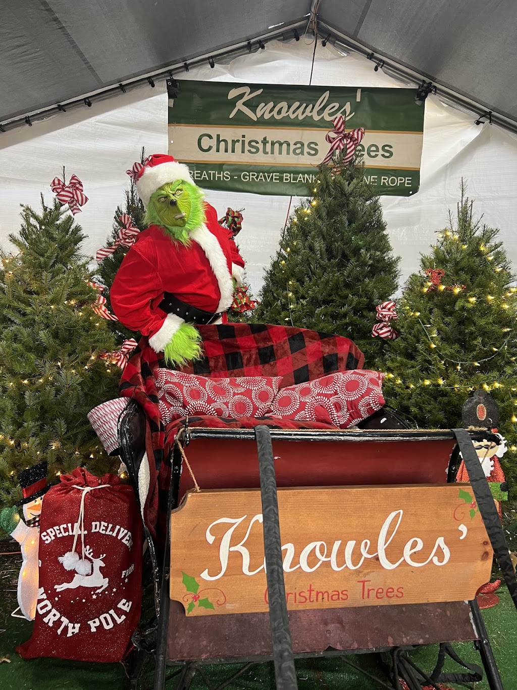 Knowles Christmas Trees and Seasonal Flowers | 5639 Bensalem Blvd, Bensalem, PA 19020, USA | Phone: (267) 566-6519