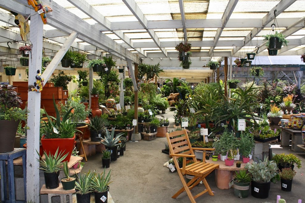 Sloat Garden Center | 700 Sir Francis Drake Blvd, Kentfield, CA 94904, USA | Phone: (415) 454-0262