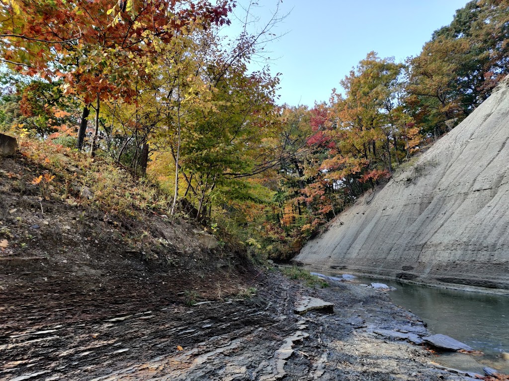 Euclid Creek Park Pavilion | Euclid, OH 44143, USA | Phone: (216) 635-3200