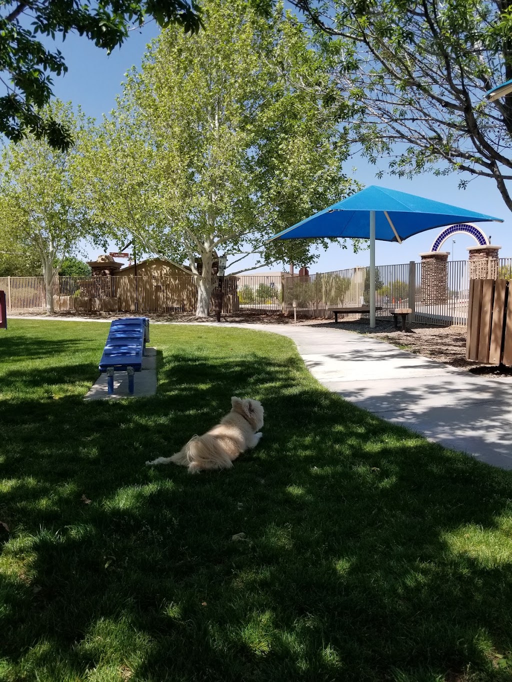 Bark Park | 15475 S Rancho Sahuarita Blvd, Sahuarita, AZ 85629, USA | Phone: (520) 207-7730