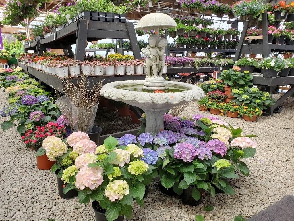 Lamberts Garden Center | 1 Cape Rd, Mendon, MA 01756, USA | Phone: (781) 389-5797