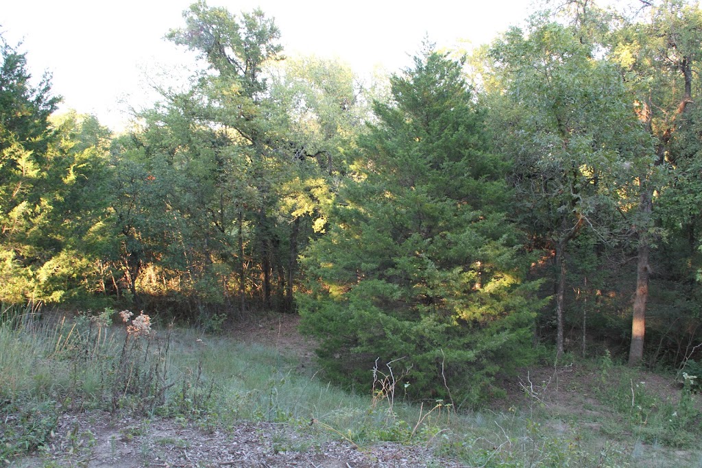 Barton Cottages Tiny Homes | 7643 Confederate Park Rd, Fort Worth, TX 76108, USA | Phone: (682) 207-6648