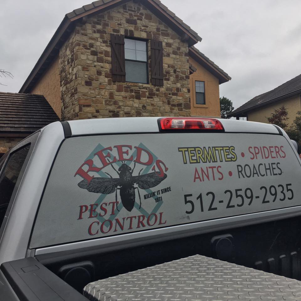 Reeds Pest Control | 116 Glen Oak Ln, Leander, TX 78641, USA | Phone: (512) 259-2935