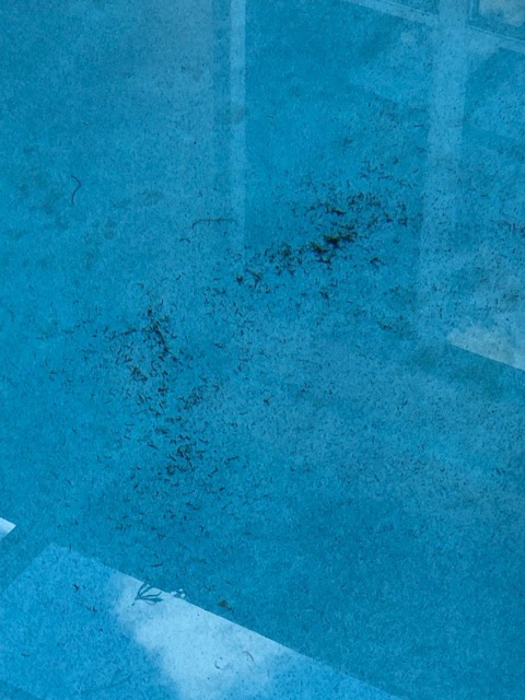 Pinch A Penny Pool Patio Spa | 8339 Lockwood Ridge Rd, Sarasota, FL 34243, USA | Phone: (941) 355-4838