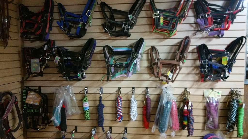 Rodeo Hard Tack & Rodeo Gear | 39995 N Prince Ave Suite 1, San Tan Valley, AZ 85140, USA | Phone: (520) 682-5481