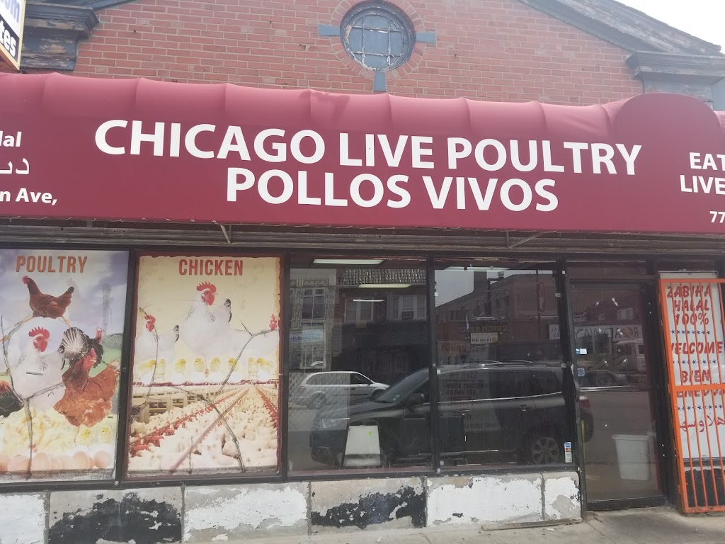 Chicago Live Poultry | 6421 N Western Ave, Chicago, IL 60645, USA | Phone: (773) 381-1000