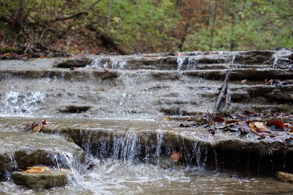 Wilderness Ridge Retreat Center | 1259 Swann Beatty Rd, Camden, OH 45311, USA | Phone: (937) 452-3347