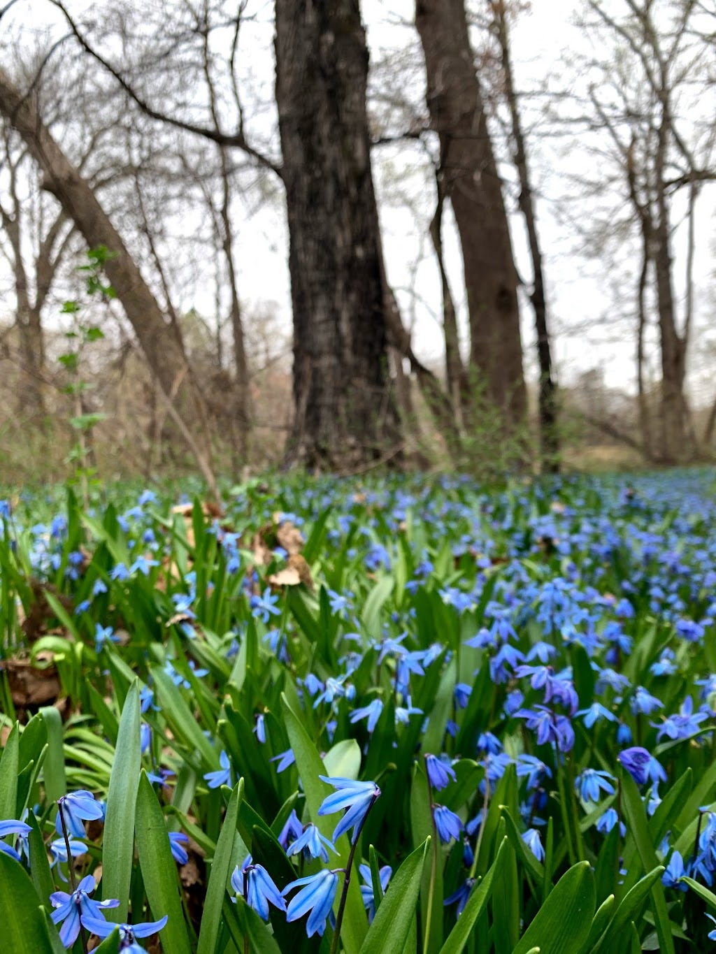 Cowling Arboretum | MN-19, Northfield, MN 55057, USA | Phone: (507) 222-4543