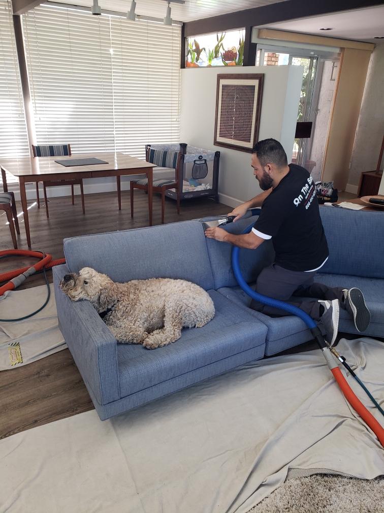 On the Spot Carpet Cleaning | 2450 N Glassell St suite a, Orange, CA 92865, USA | Phone: (714) 329-9764