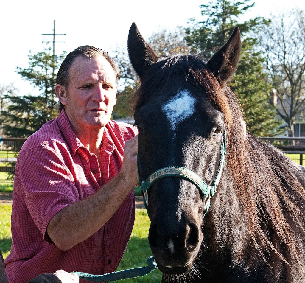 Los Caballos Equine Practice | 24806 N Kennefick Rd, Galt, CA 95632, USA | Phone: (209) 334-1660