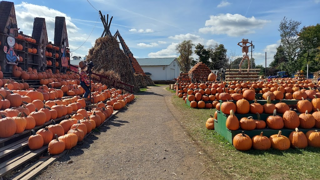 Great Pumpkin Farm | 11199 Main St, Clarence, NY 14031, USA | Phone: (716) 759-1929