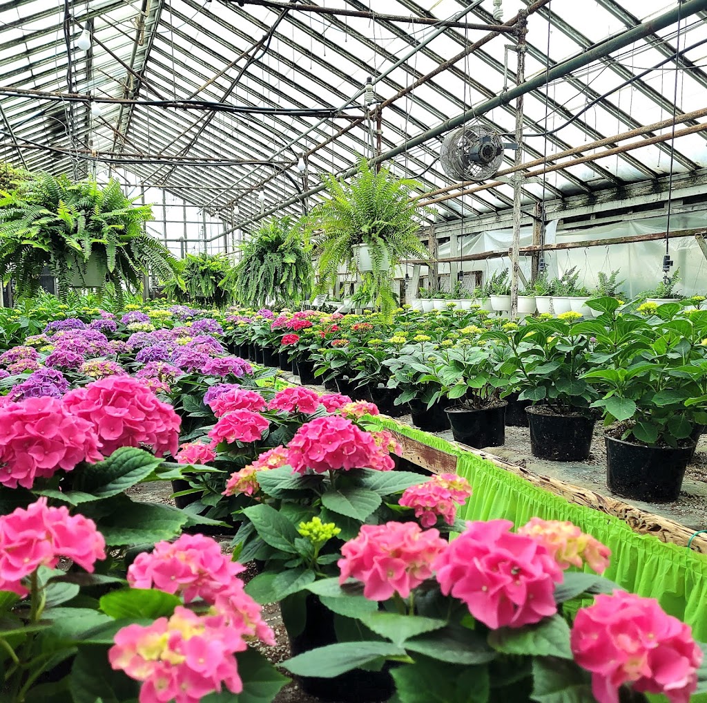 Sparrs Flowers & Greenhouse | 42510 Joy Rd, Plymouth, MI 48170, USA | Phone: (734) 453-4268