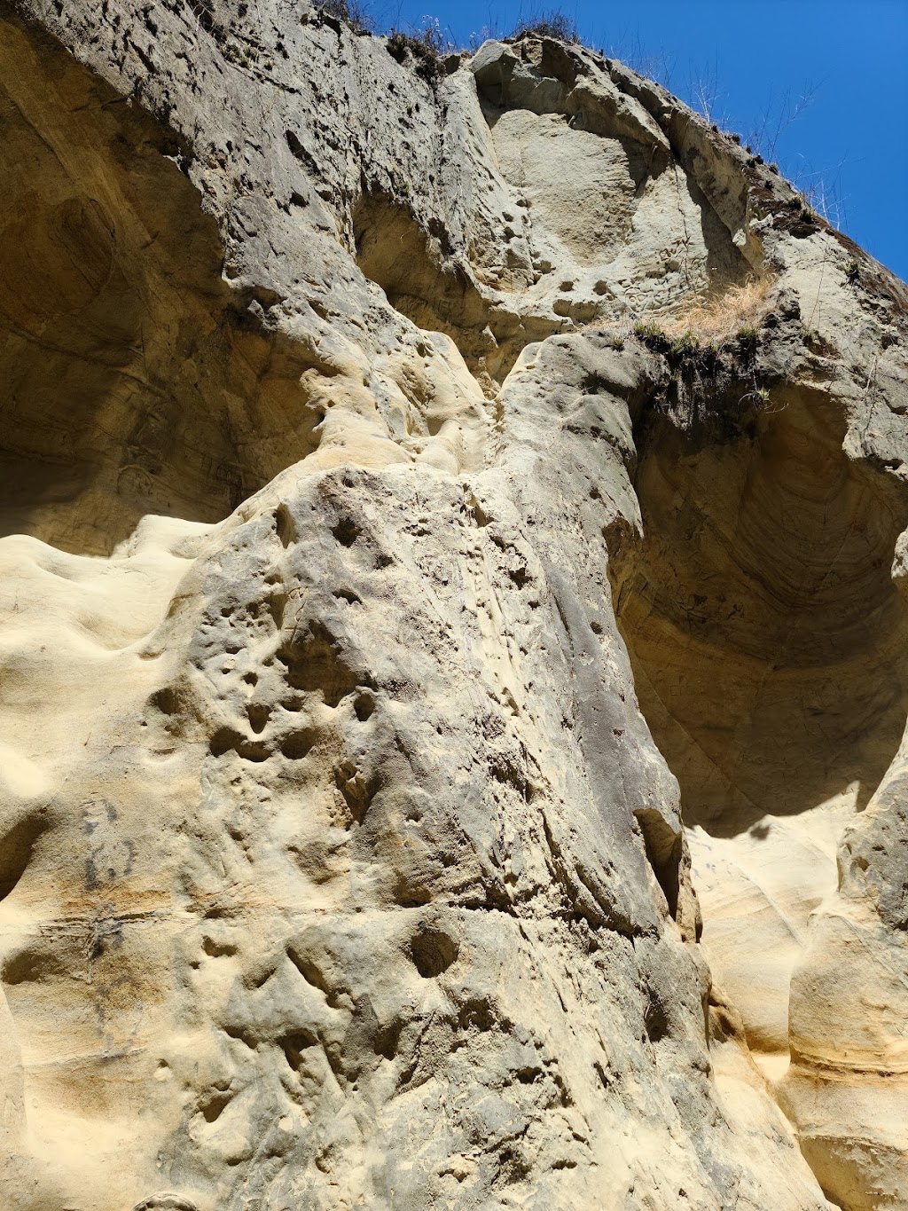Annies Canyon Trail | 498-450 Solana Hills Dr, Solana Beach, CA 92075, USA | Phone: (760) 436-3944