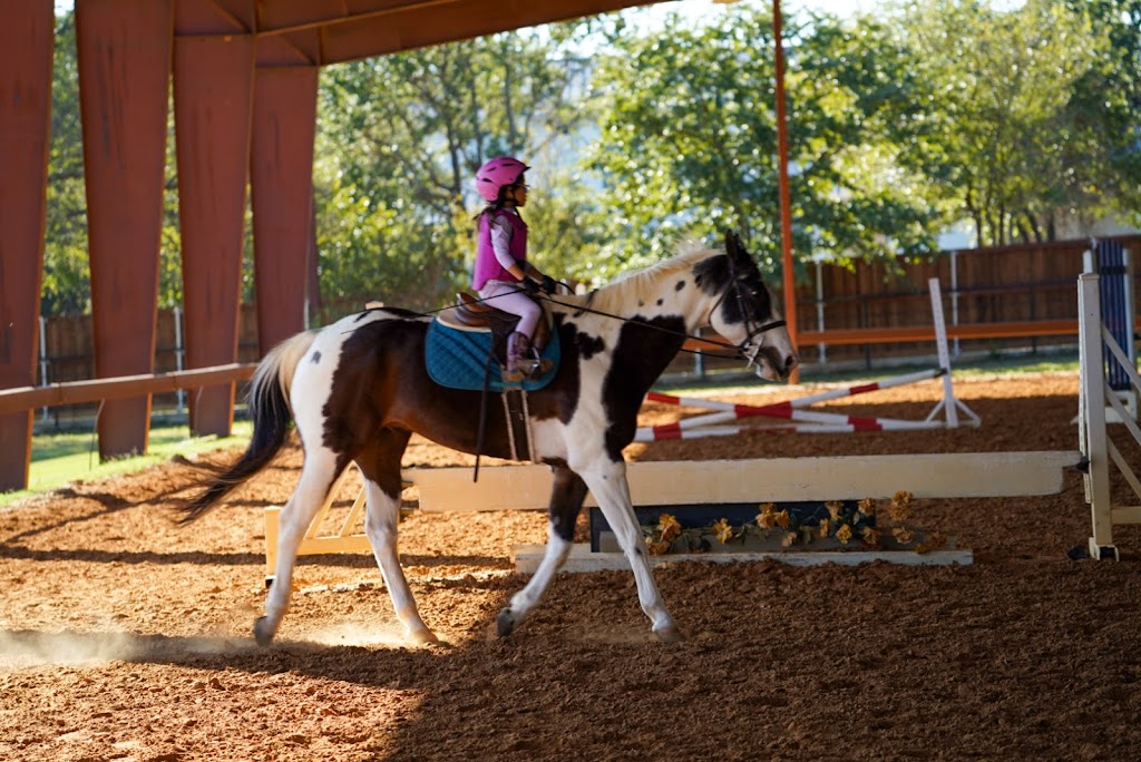 Southlake Equestrian | 4500 N White Chapel Blvd, Southlake, TX 76092, USA | Phone: (682) 237-7487