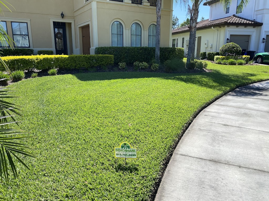 Benchmark Turf Management llc | 28747 Walker Dr, Wesley Chapel, FL 33544, USA | Phone: (813) 701-6999