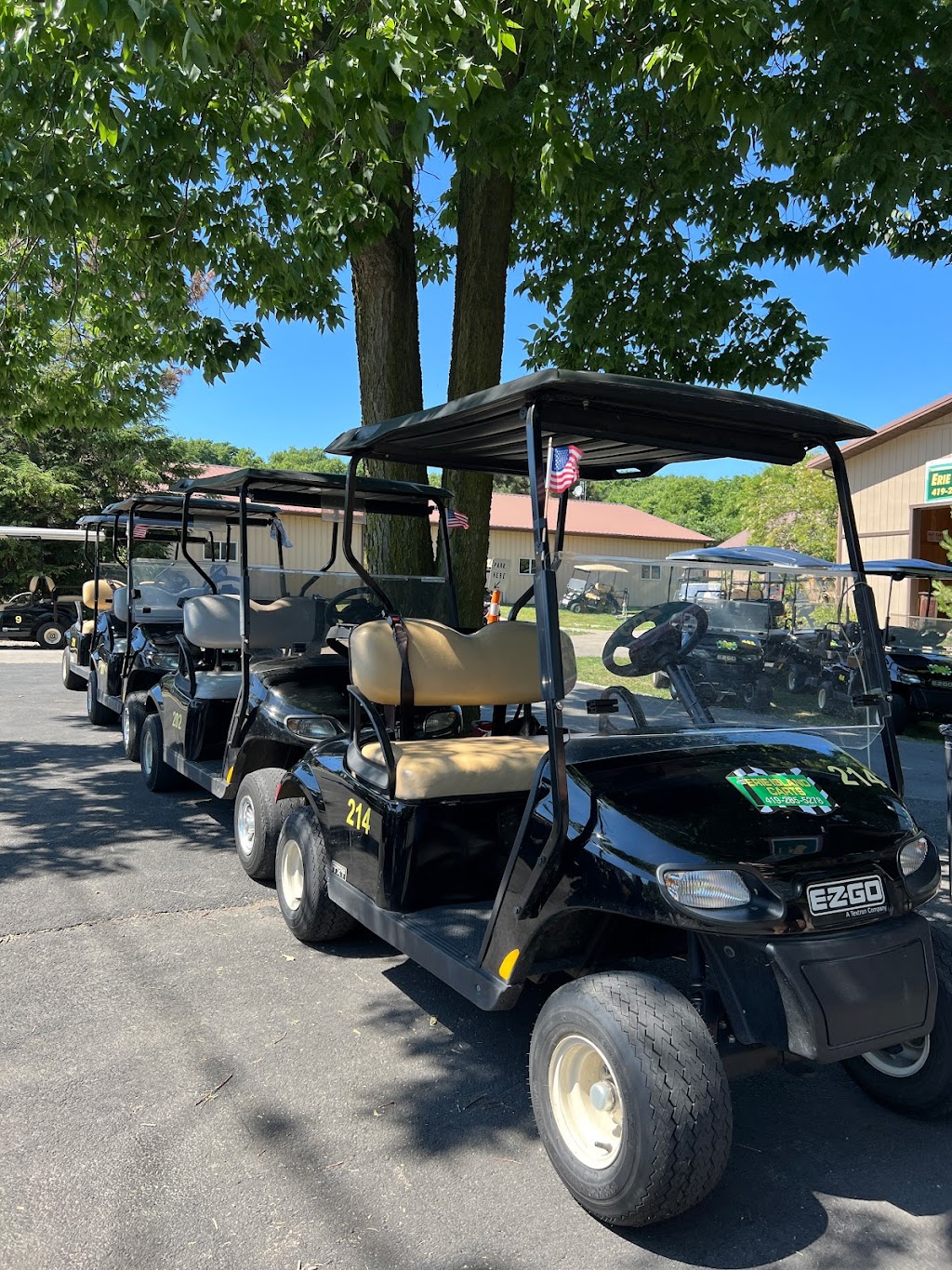 Erie Island Carts | 1961 Langram Rd, Put-In-Bay, OH 43456, USA | Phone: (419) 285-5278