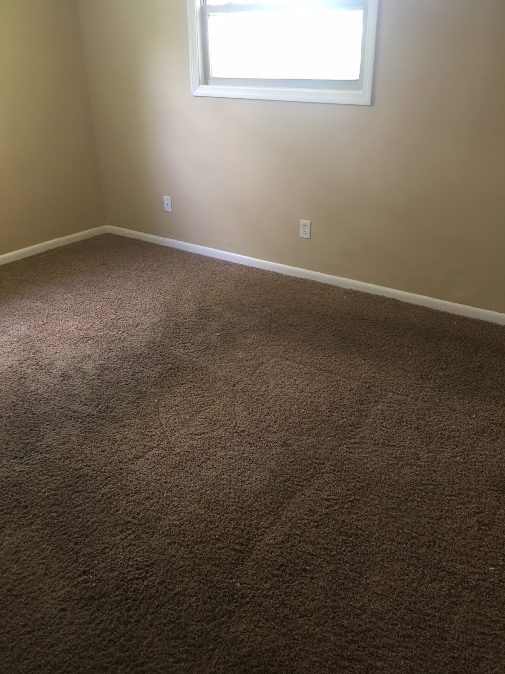 Baby Safe Carpet & Upholstery Cleaning | 3607 W 200 N, Huntington, IN 46750, USA | Phone: (260) 358-0447