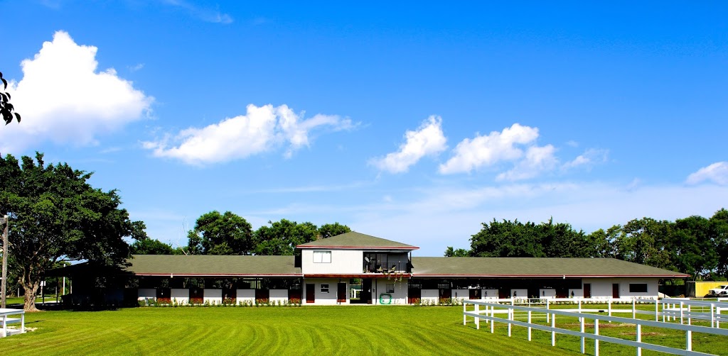 Sport Horse Stables, Corp. | 19525 SW 142nd Ave, Miami, FL 33177, USA | Phone: (305) 360-4104