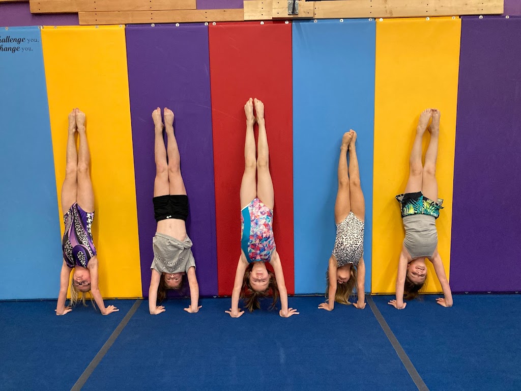 United Gymnastics School | 12550 Chillicothe Rd, Chesterland, OH 44026, USA | Phone: (440) 678-8736