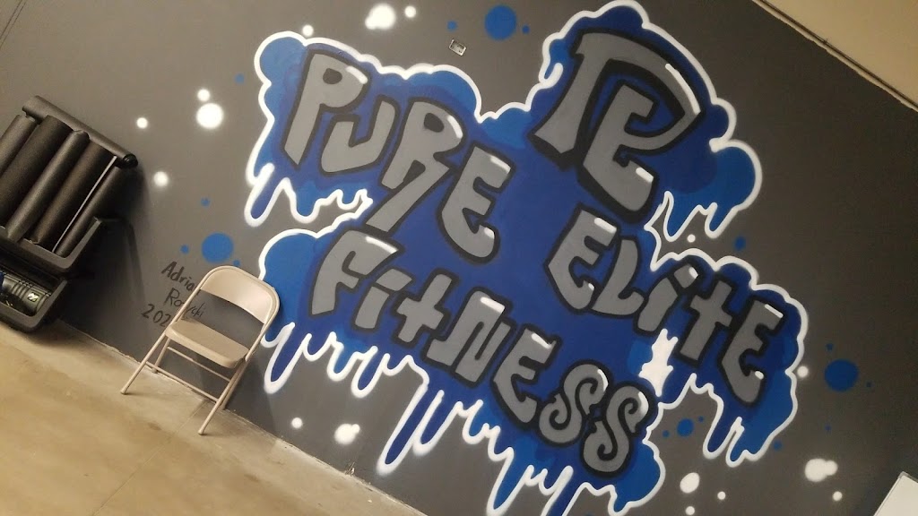 Pure Elite Fitness | 1500 E Euclid Ave, Mt Prospect, IL 60056, USA | Phone: (224) 636-2824